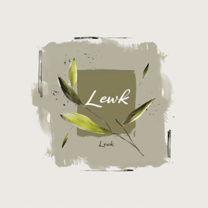 Lewk meaning