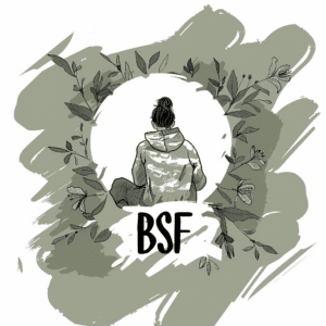 BSF meaning