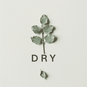 DRY meaning