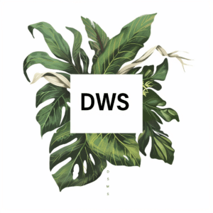 DWS meaning