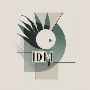 IDM meaning