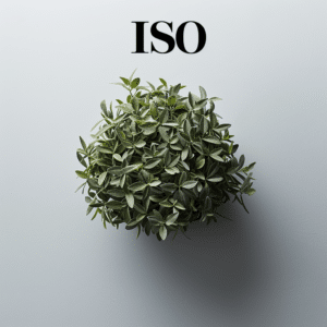 ISO meaning