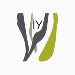 IY meaning