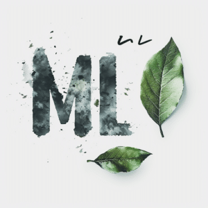 ML meaning