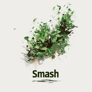 Smash meaning