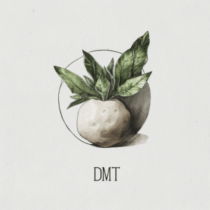 DMT meaning